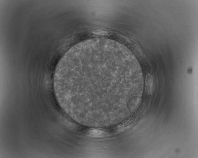 X0000116480614201001201344