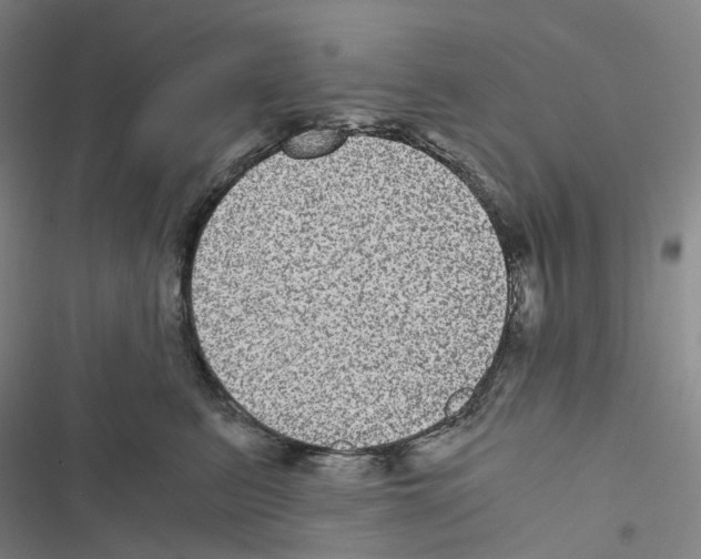X0000116480615201001201344