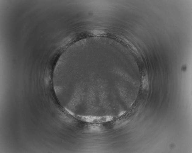 X0000116480618201001201343