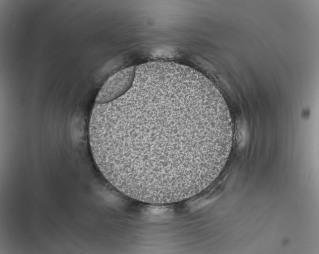 X0000116480619201001201343