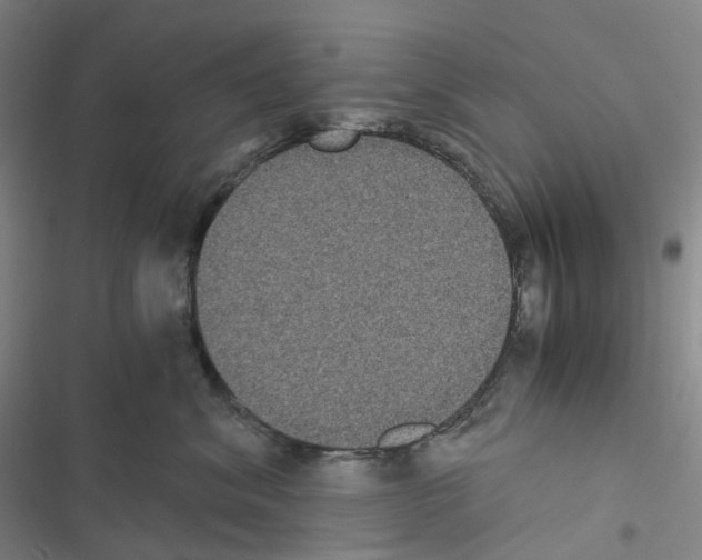 X0000116480620201001201343