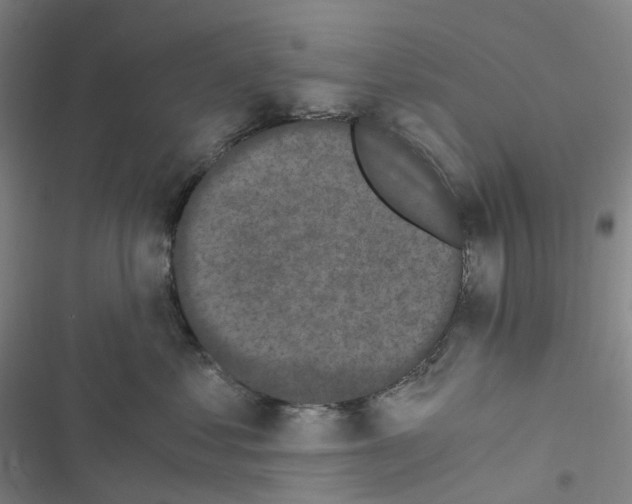 X0000116480621201001201343