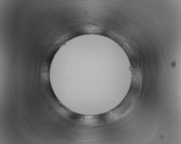 X0000116480622201001201343