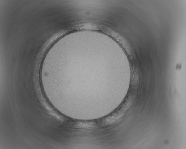 X0000116480625201001201343