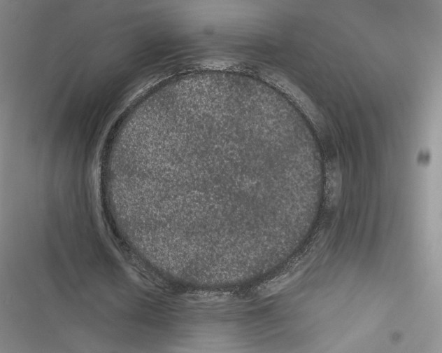 X0000116480626201001201343