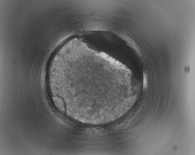 X0000116480627201001201343