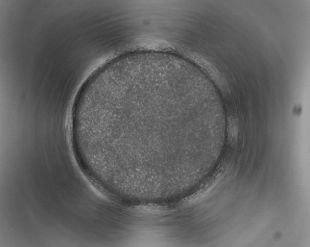 X0000116480630201001201343