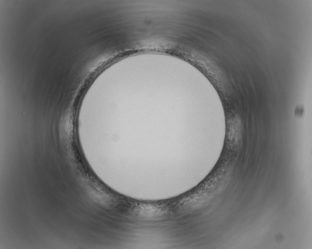 X0000116480632201001201343