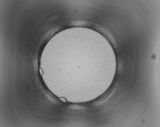 X0000116480633201001201343