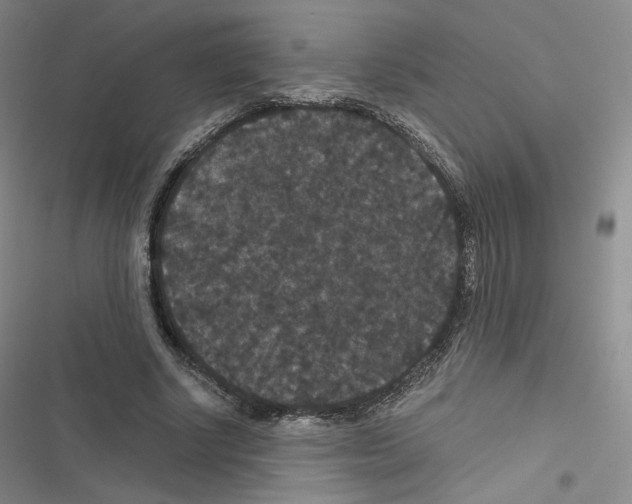 X0000116480634201001201343