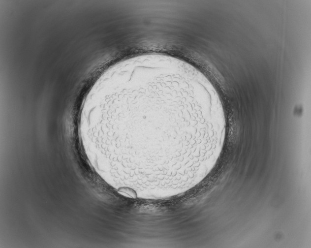 X0000116480635201001201343