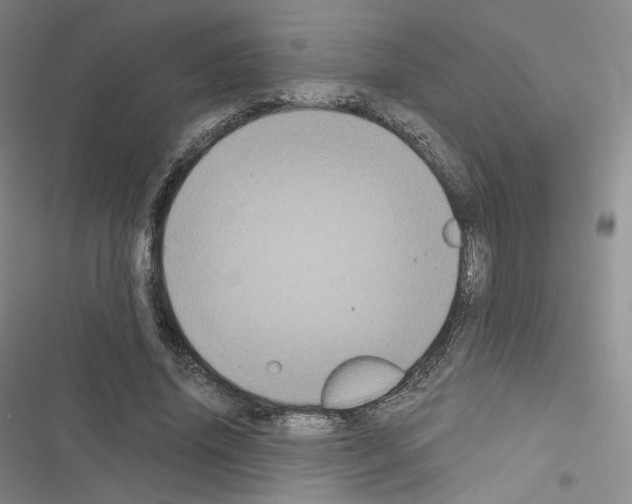 X0000116480636201001201343