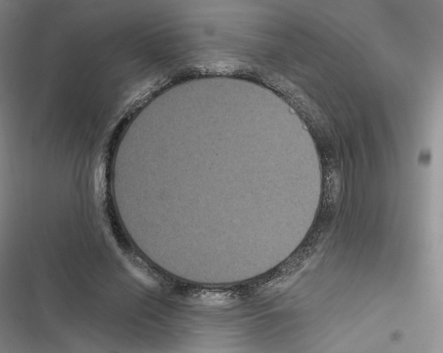 X0000116480638201001201343