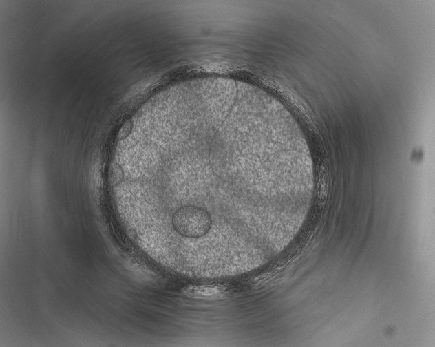 X0000116480639201001201343