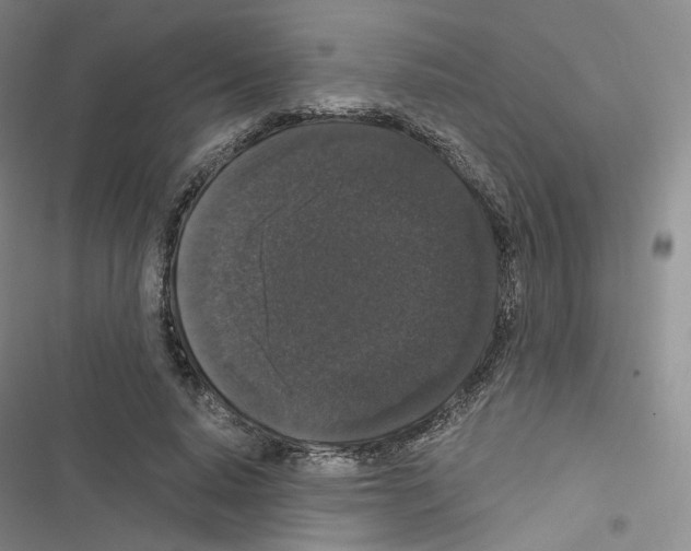 X0000116480640201001201343