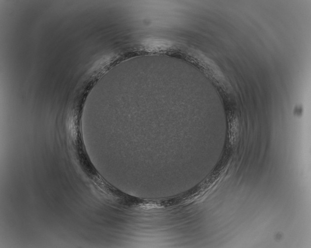 X0000116480644201001201343