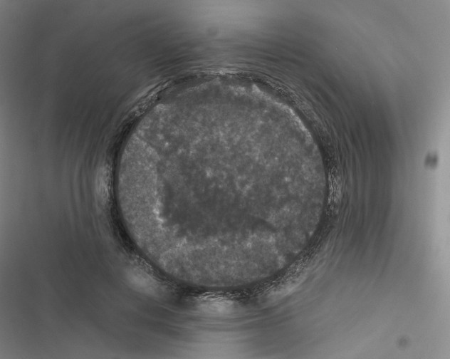 X0000116480648201001201343