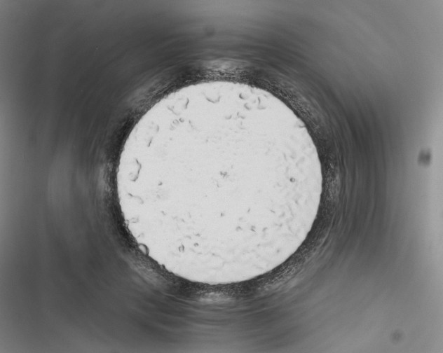 X0000116480649201001201343