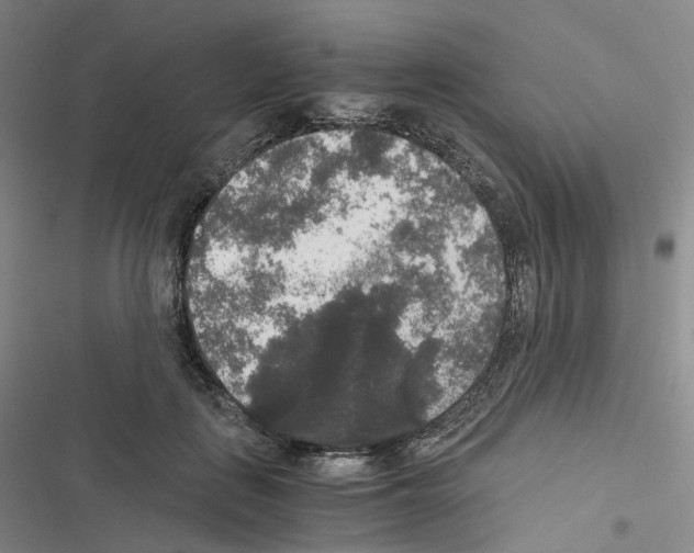 X0000116480651201001201343