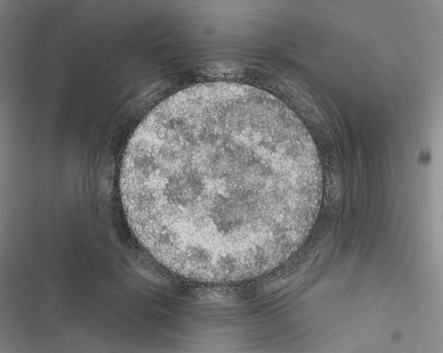 X0000116480652201001201343