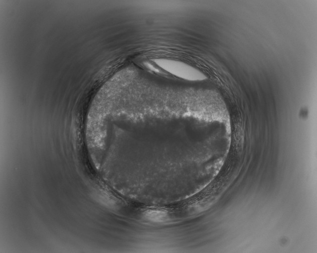 X0000116480653201001201343