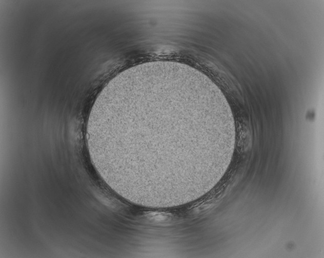 X0000116480654201001201343