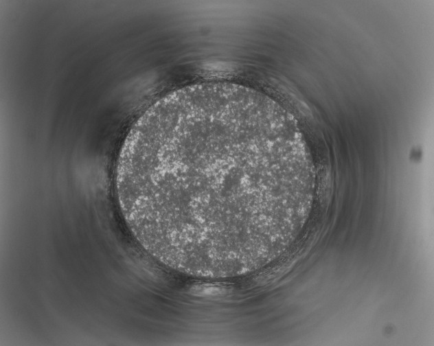 X0000116480655201001201343