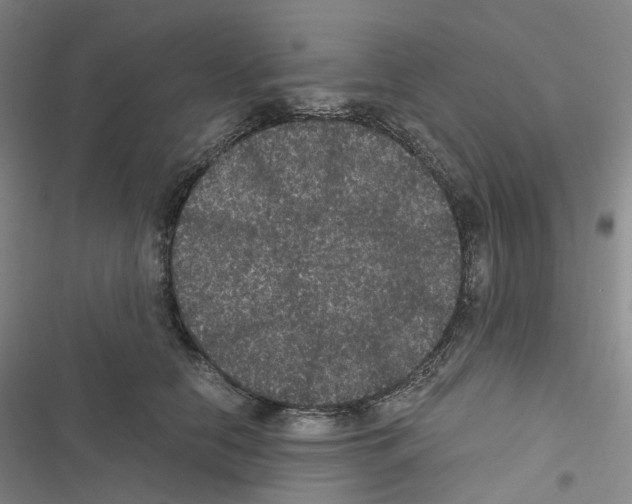 X0000116480658201001201343