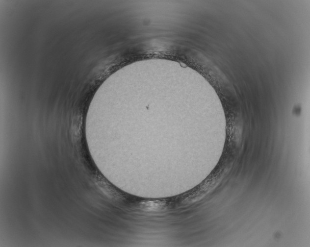 X0000116480660201001201343