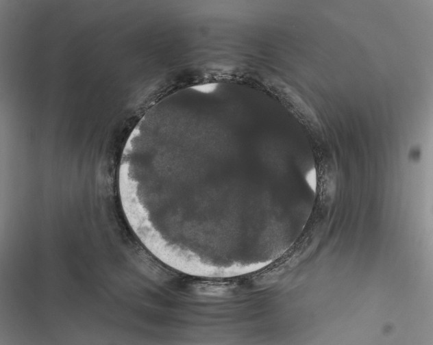 X0000116480661201001201343