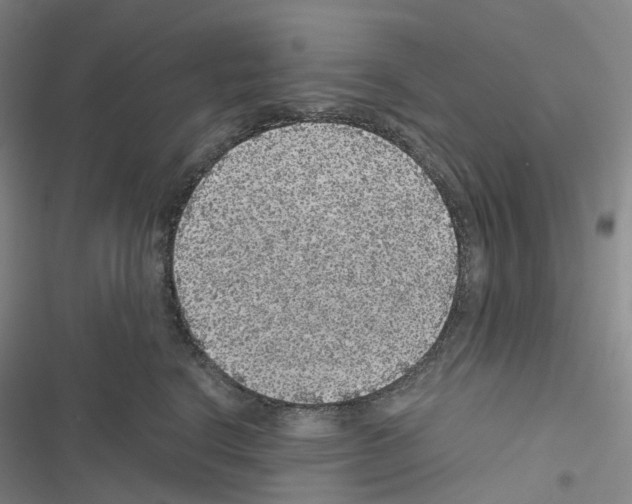 X0000116480664201001201343