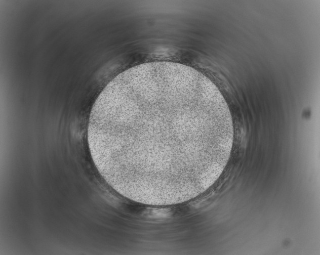 X0000116480665201001201343