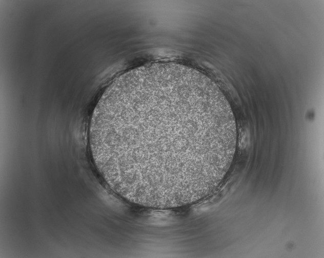 X0000116480666201001201343