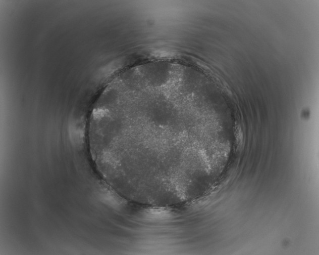 X0000116480668201001201343