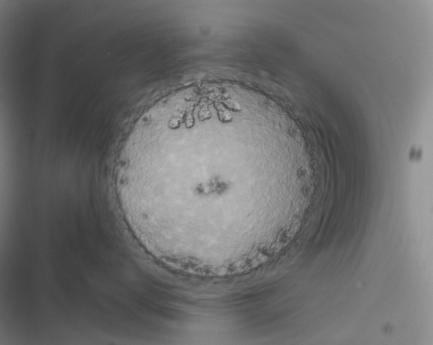 X0000116480672201001201343