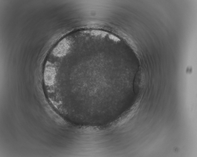 X0000116480673201001201343