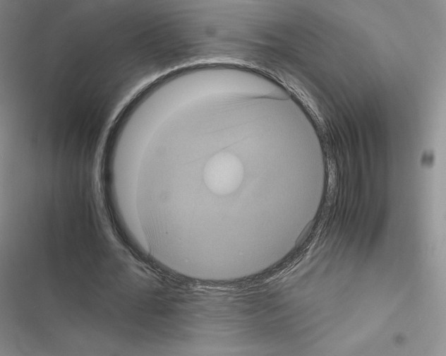 X0000116480676201001201343