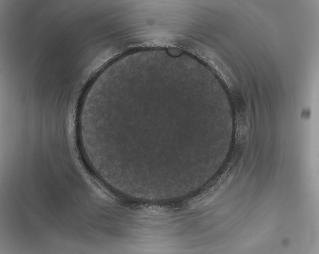 X0000116480677201001201343