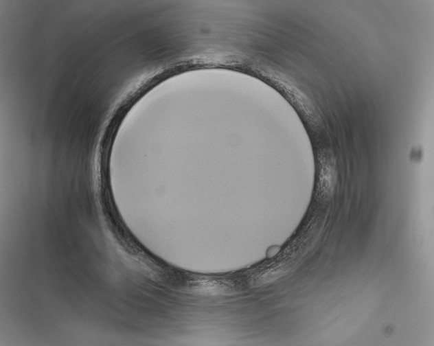 X0000116480678201001201343