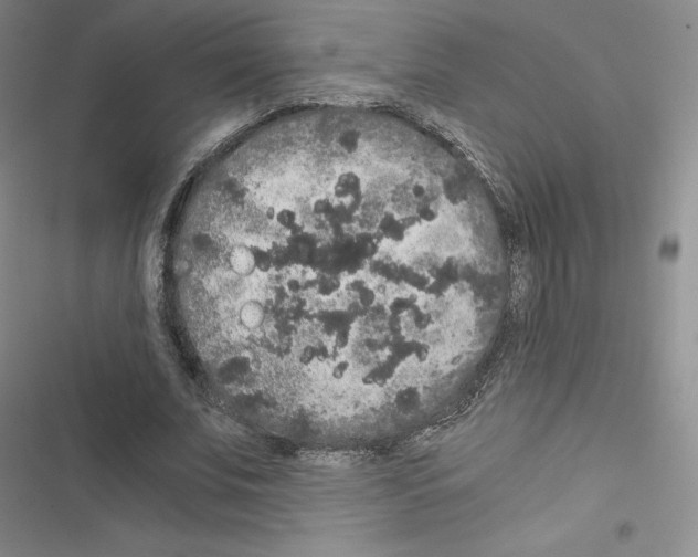 X0000116480679201001201343