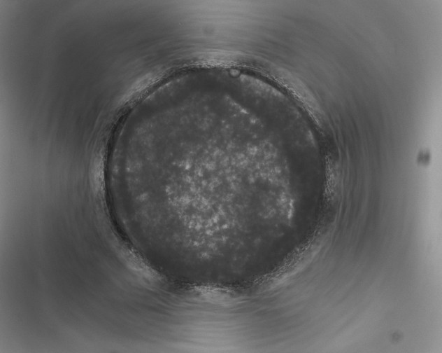 X0000116480681201001201343