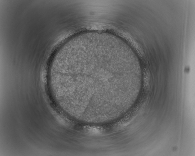 X0000116480683201001201343