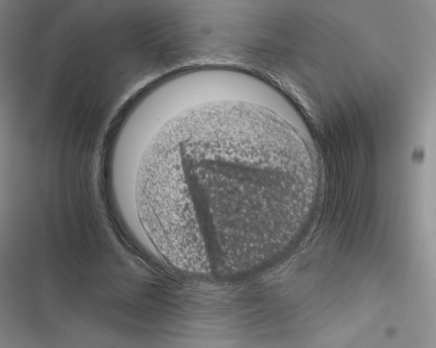 X0000116480684201001201343