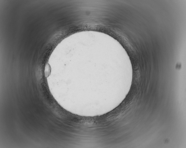 X0000116480687201001201343