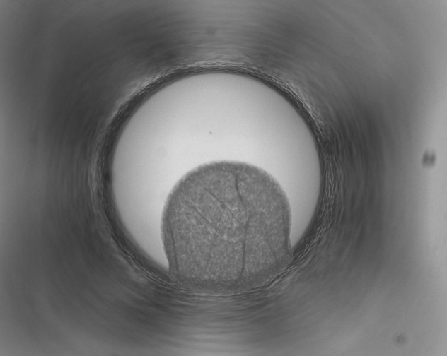 X0000116480688201001201343