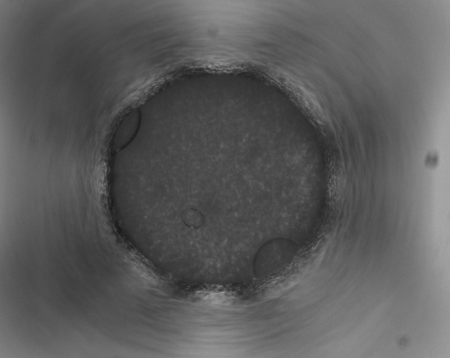 X0000116480689201001201343