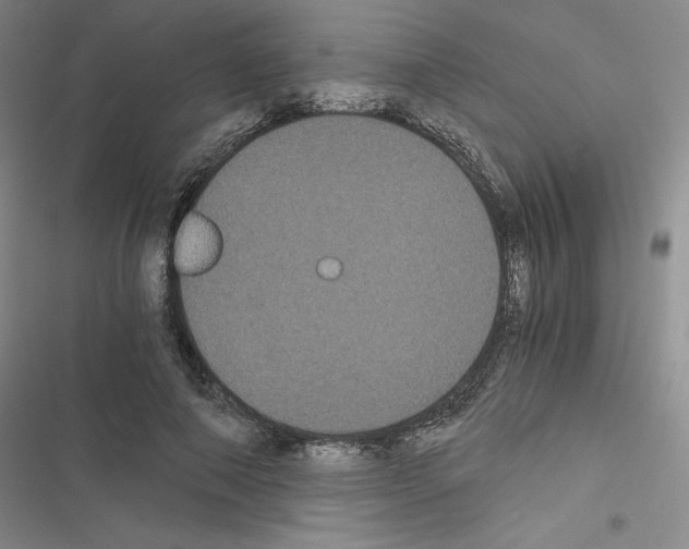 X0000116480690201001201343