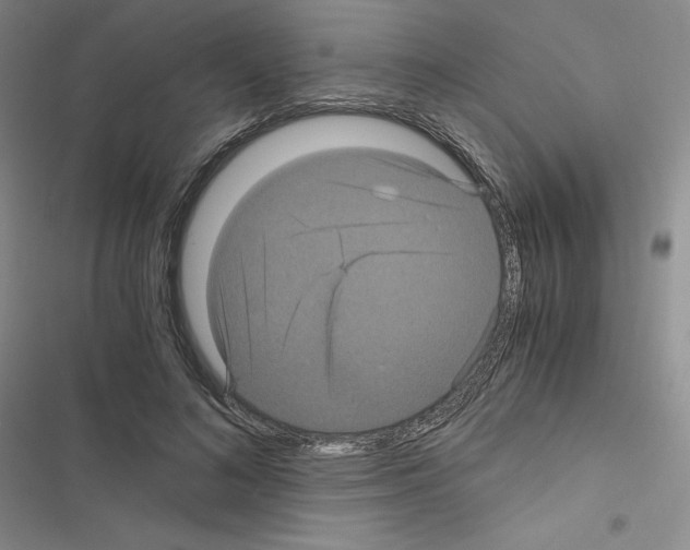 X0000116480692201001201342