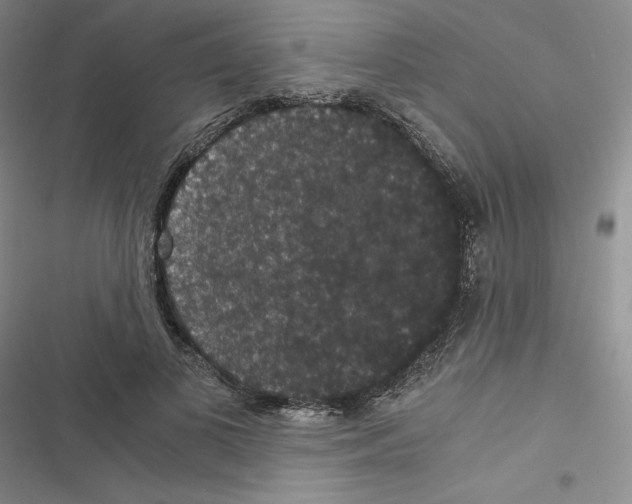 X0000116480693201001201342