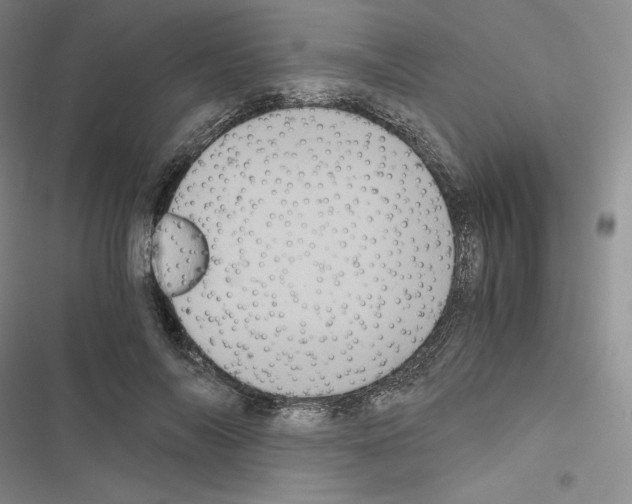 X0000116480694201001201342